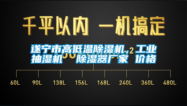遂寧市高低溫除濕機，工業抽濕機  除濕器廠家 價格