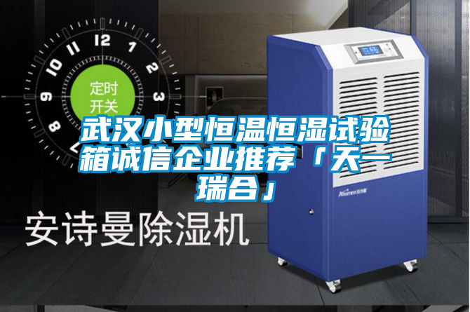 武漢小型恒溫恒濕試驗箱誠信企業推薦「天一瑞合」
