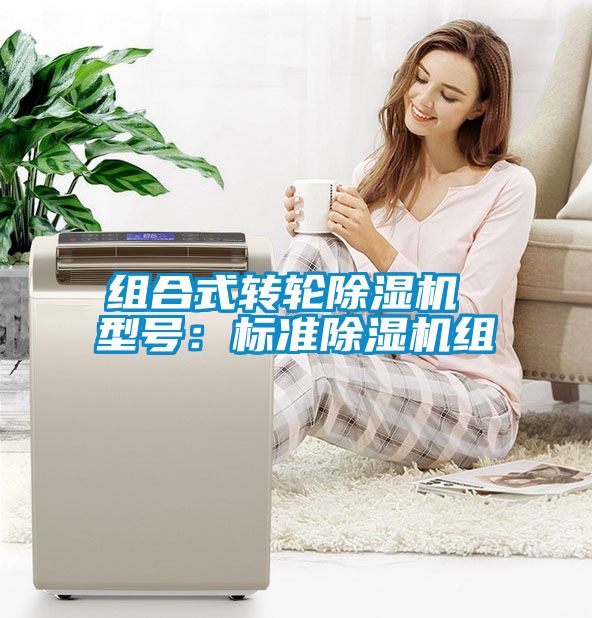 組合式轉(zhuǎn)輪除濕機(jī) 型號：標(biāo)準(zhǔn)除濕機(jī)組