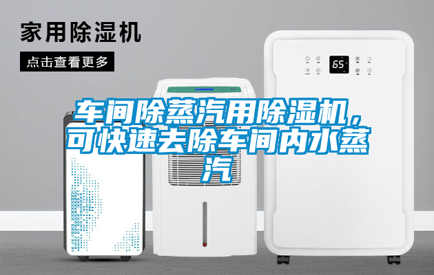 車間除蒸汽用除濕機，可快速去除車間內(nèi)水蒸汽