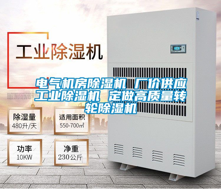 電氣機房除濕機 廠價供應工業除濕機 定做高質量轉輪除濕機