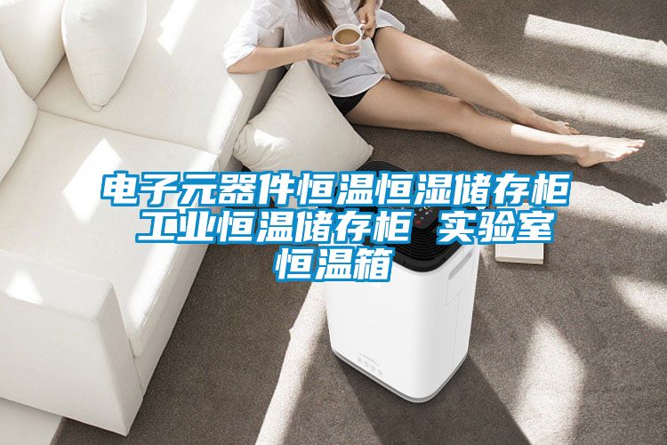 電子元器件恒溫恒濕儲存柜 工業恒溫儲存柜 實驗室恒溫箱