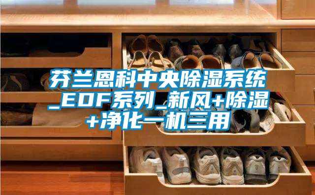 芬蘭恩科中央除濕系統_EDF系列_新風+除濕+凈化一機三用
