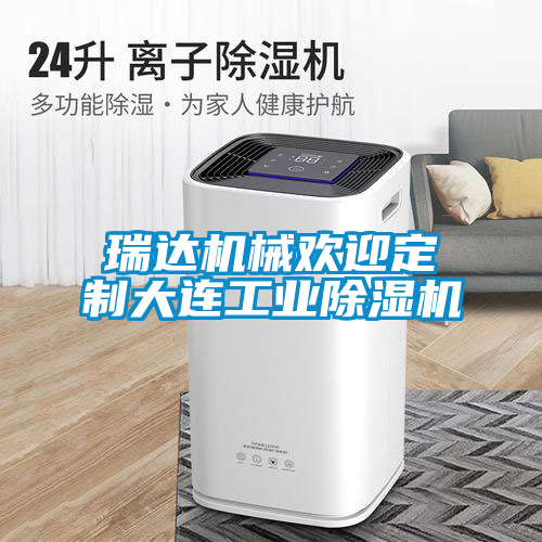 瑞達(dá)機械歡迎定制大連工業(yè)除濕機
