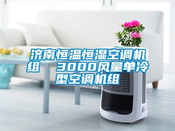 濟南恒溫恒濕空調機組  3000風量單冷型空調機組