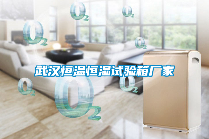 武漢恒溫恒濕試驗箱廠家