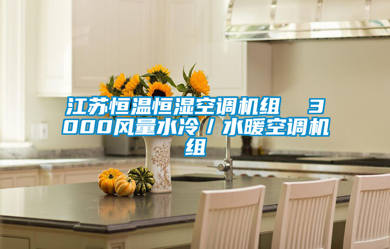 江蘇恒溫恒濕空調(diào)機組  3000風(fēng)量水冷／水暖空調(diào)機組