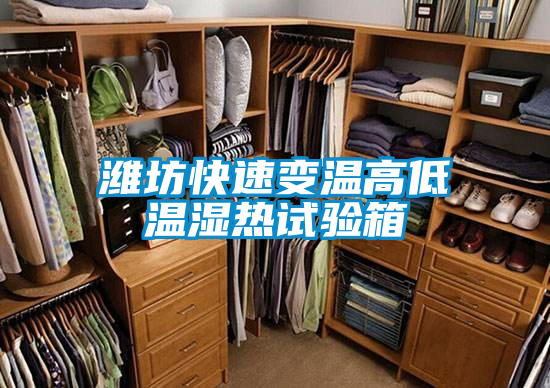 濰坊快速變溫高低溫濕熱試驗箱