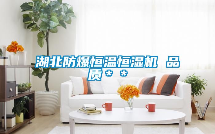 湖北防爆恒溫恒濕機 品質＊＊