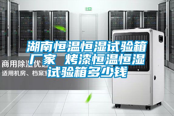 湖南恒溫恒濕試驗(yàn)箱廠家 烤漆恒溫恒濕試驗(yàn)箱多少錢(qián)