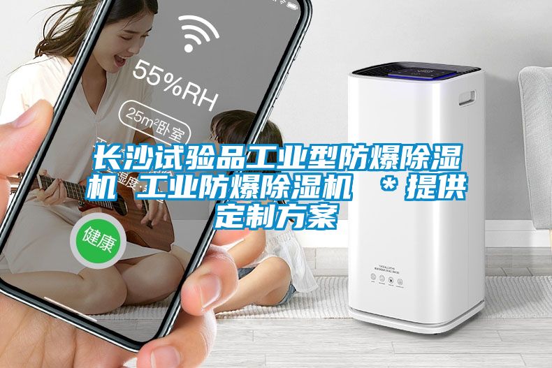 長沙試驗品工業(yè)型防爆除濕機 工業(yè)防爆除濕機 ＊提供定制方案