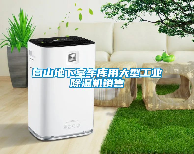 白山地下室車庫用大型工業除濕機銷售