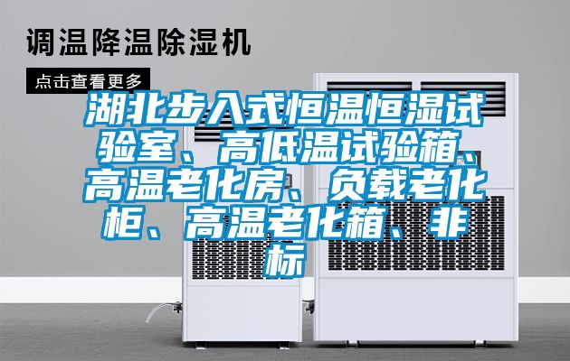 湖北步入式恒溫恒濕試驗室、高低溫試驗箱、高溫老化房、負載老化柜、高溫老化箱、非標
