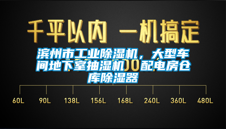 濱州市工業除濕機，大型車間地下室抽濕機  配電房倉庫除濕器