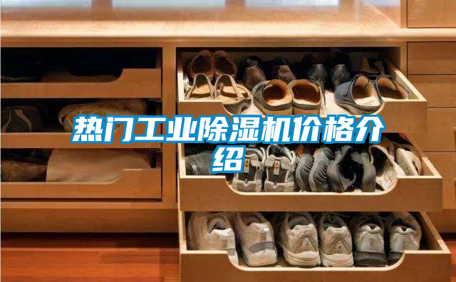 熱門工業除濕機價格介紹