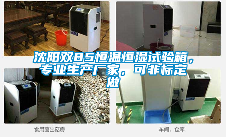 沈陽雙85恒溫恒濕試驗箱，專業(yè)生產(chǎn)廠家，可非標(biāo)定做