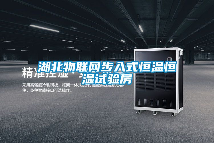 湖北物聯網步入式恒溫恒濕試驗房