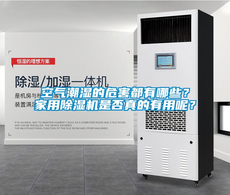 空氣潮濕的危害都有哪些？家用除濕機是否真的有用呢？