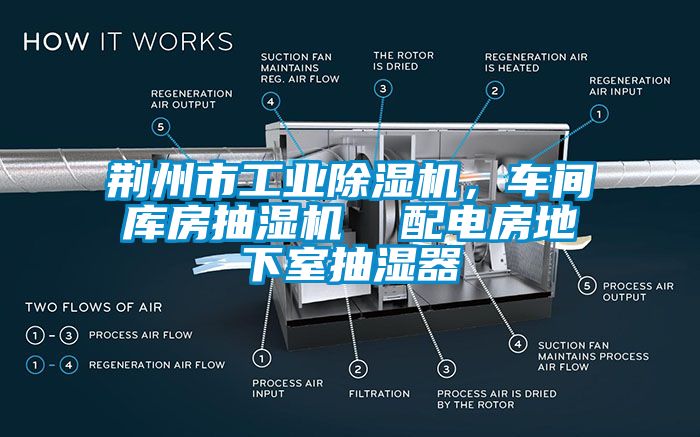 荊州市工業除濕機，車間庫房抽濕機  配電房地下室抽濕器