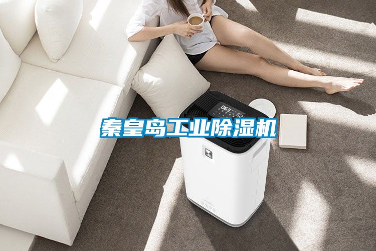 秦皇島工業除濕機