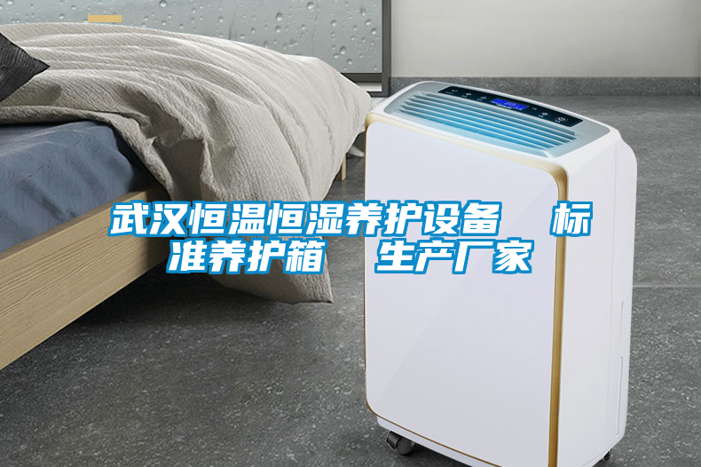武漢恒溫恒濕養護設備  標準養護箱  生產廠家