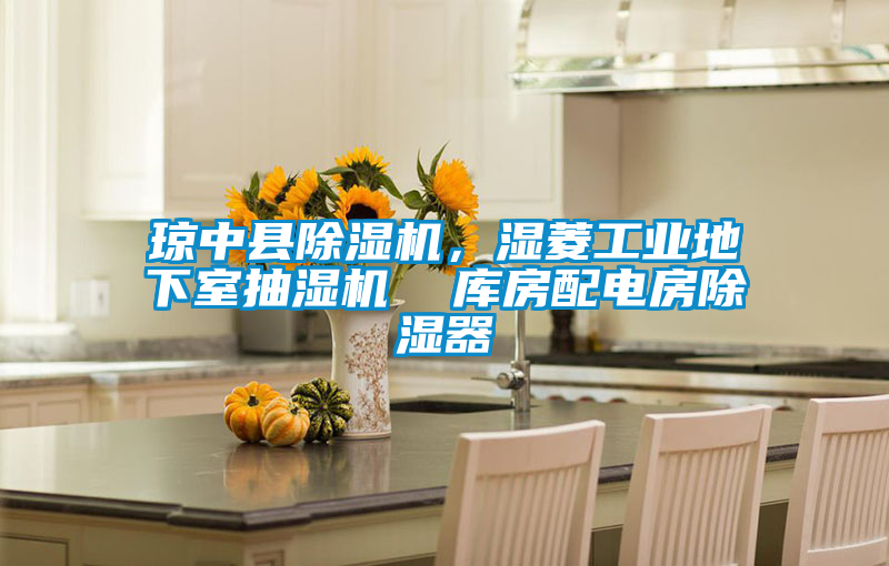 瓊中縣除濕機，濕菱工業(yè)地下室抽濕機  庫房配電房除濕器