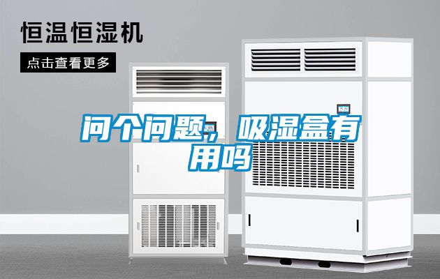 問個問題，吸濕盒有用嗎