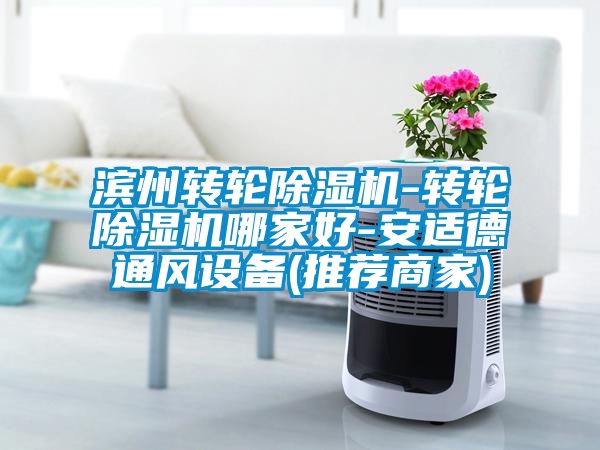 濱州轉輪除濕機-轉輪除濕機哪家好-安適德通風設備(推薦商家)