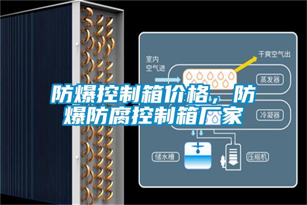 防爆控制箱價(jià)格，防爆防腐控制箱廠家