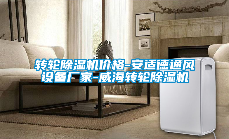 轉(zhuǎn)輪除濕機價格-安適德通風(fēng)設(shè)備廠家-威海轉(zhuǎn)輪除濕機