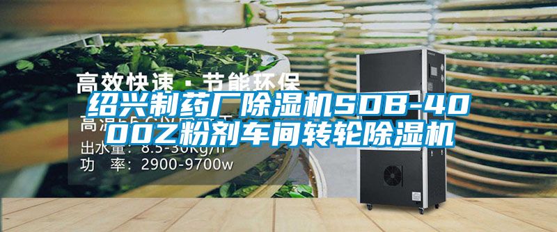 紹興制藥廠除濕機SDB-4000Z粉劑車間轉輪除濕機