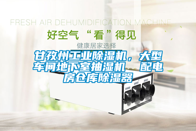 甘孜州工業(yè)除濕機(jī)，大型車間地下室抽濕機(jī)  配電房倉(cāng)庫(kù)除濕器