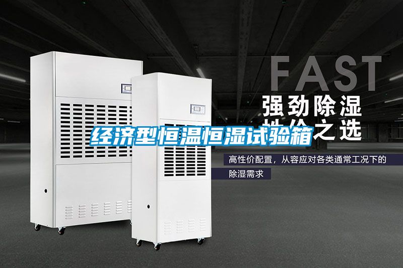 經(jīng)濟型恒溫恒濕試驗箱