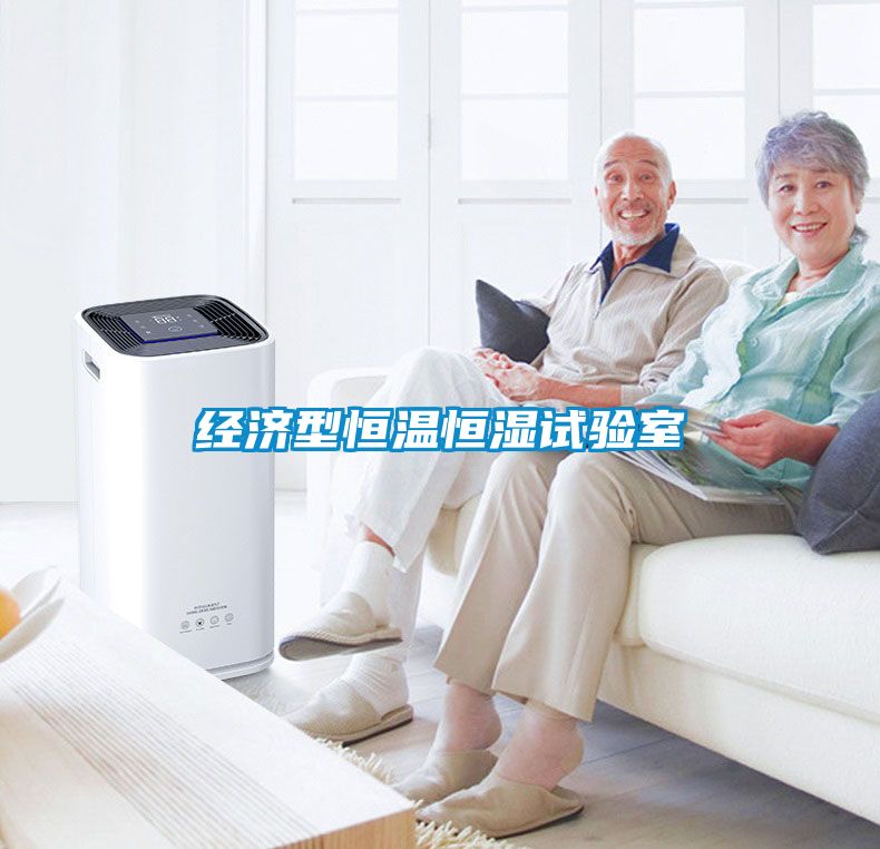 經(jīng)濟型恒溫恒濕試驗室