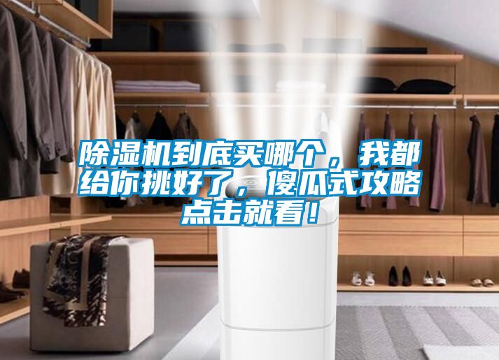 除濕機(jī)到底買(mǎi)哪個(gè)，我都給你挑好了，傻瓜式攻略點(diǎn)擊就看！