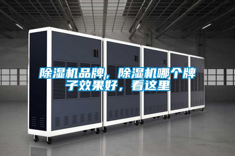 除濕機(jī)品牌，除濕機(jī)哪個(gè)牌子效果好，看這里