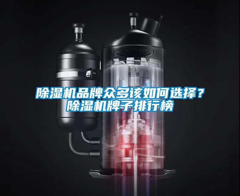 除濕機品牌眾多該如何選擇？除濕機牌子排行榜