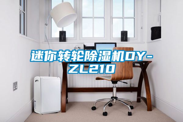 迷你轉輪除濕機DY-ZL210