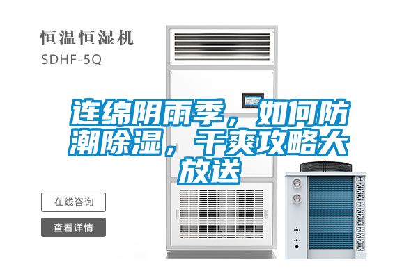連綿陰雨季，如何防潮除濕，干爽攻略大放送