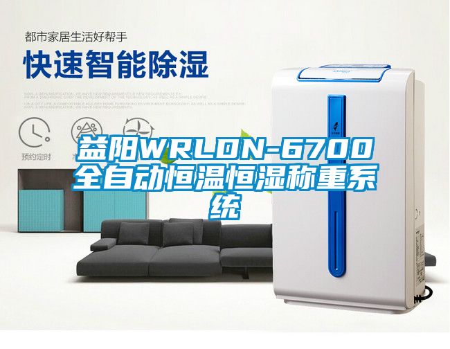 益陽WRLDN-6700全自動恒溫恒濕稱重系統
