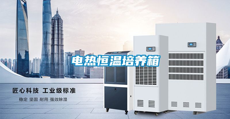 電熱恒溫培養箱