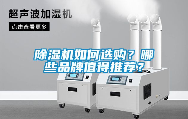 除濕機如何選購？哪些品牌值得推薦？