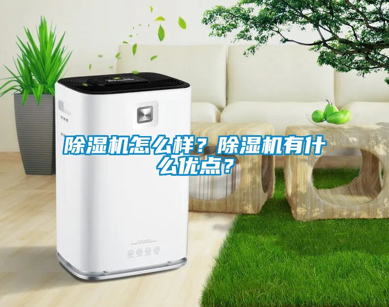 除濕機怎么樣？除濕機有什么優點？