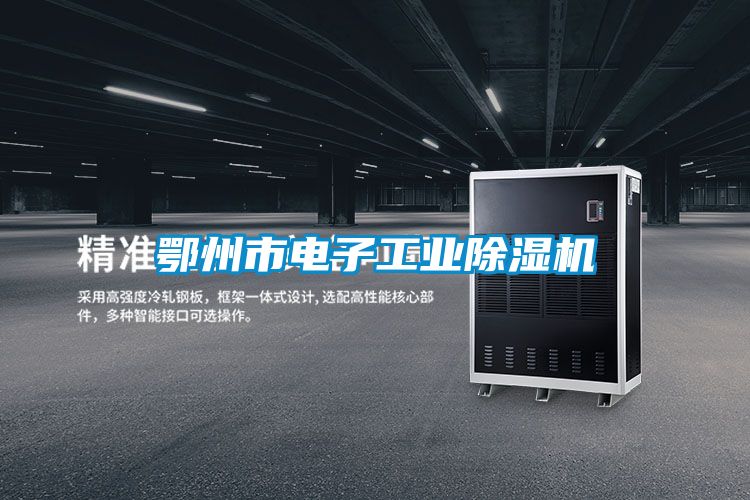 鄂州市電子工業除濕機