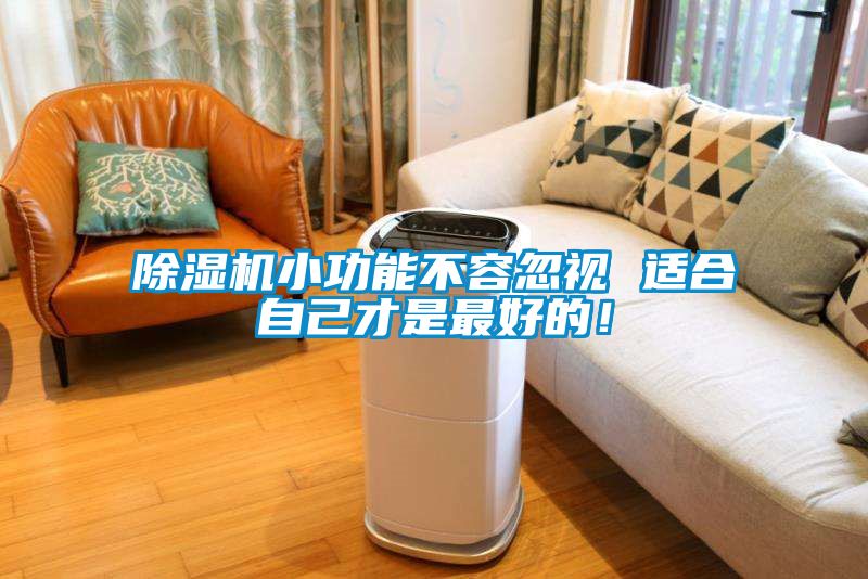 除濕機小功能不容忽視 適合自己才是最好的！