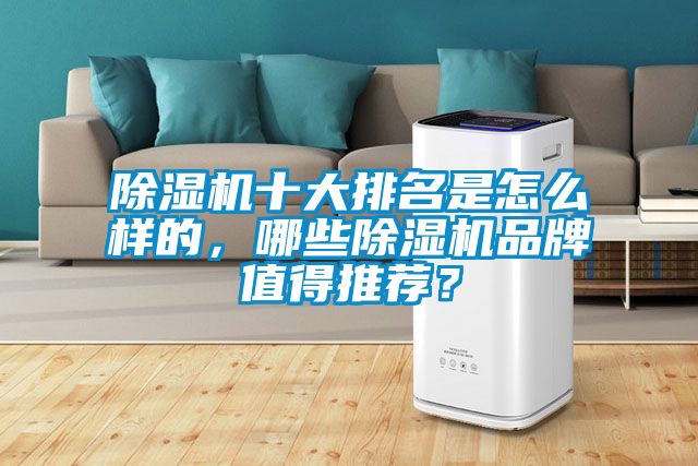 除濕機十大排名是怎么樣的，哪些除濕機品牌值得推薦？