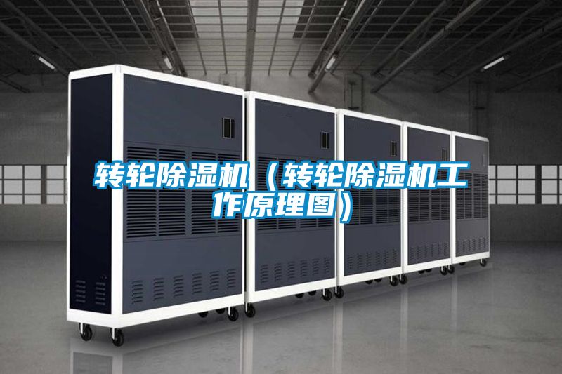 轉(zhuǎn)輪除濕機（轉(zhuǎn)輪除濕機工作原理圖）