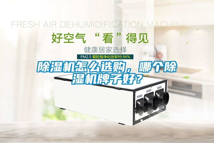 除濕機(jī)怎么選購，哪個除濕機(jī)牌子好？