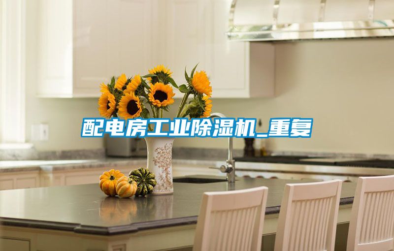 配電房工業除濕機_重復