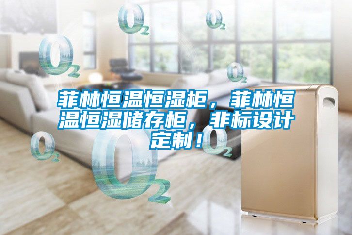 菲林恒溫恒濕柜，菲林恒溫恒濕儲存柜，非標設計定制！